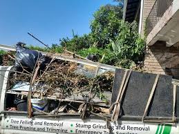 Best Estate Cleanout  in Mansfield, MO